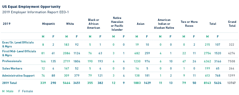 Equal employment opportunity data tables 2019.full.high