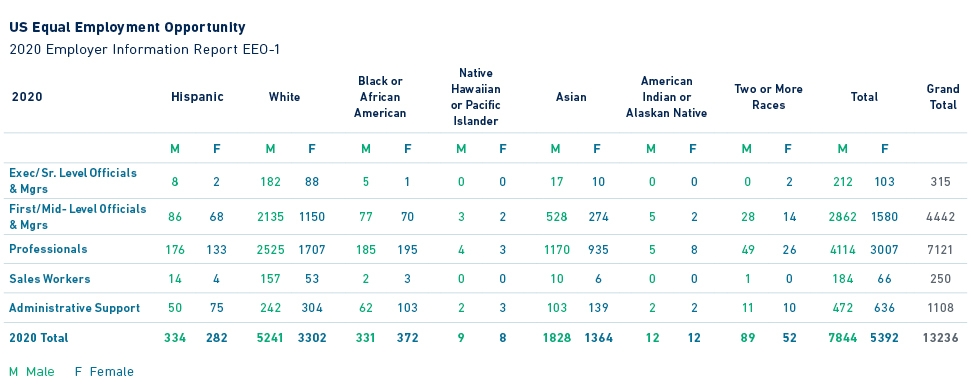 Equal employment opportunity data tables 2020.full.high